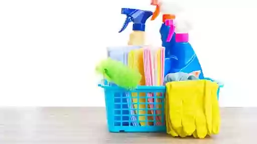 Anna cleaning services