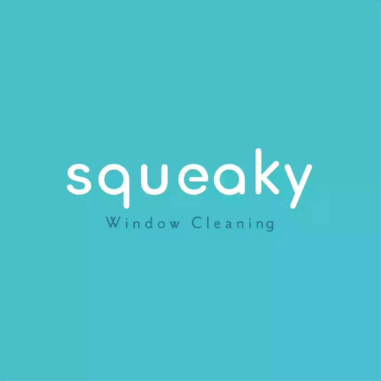 Squeaky Cleaning