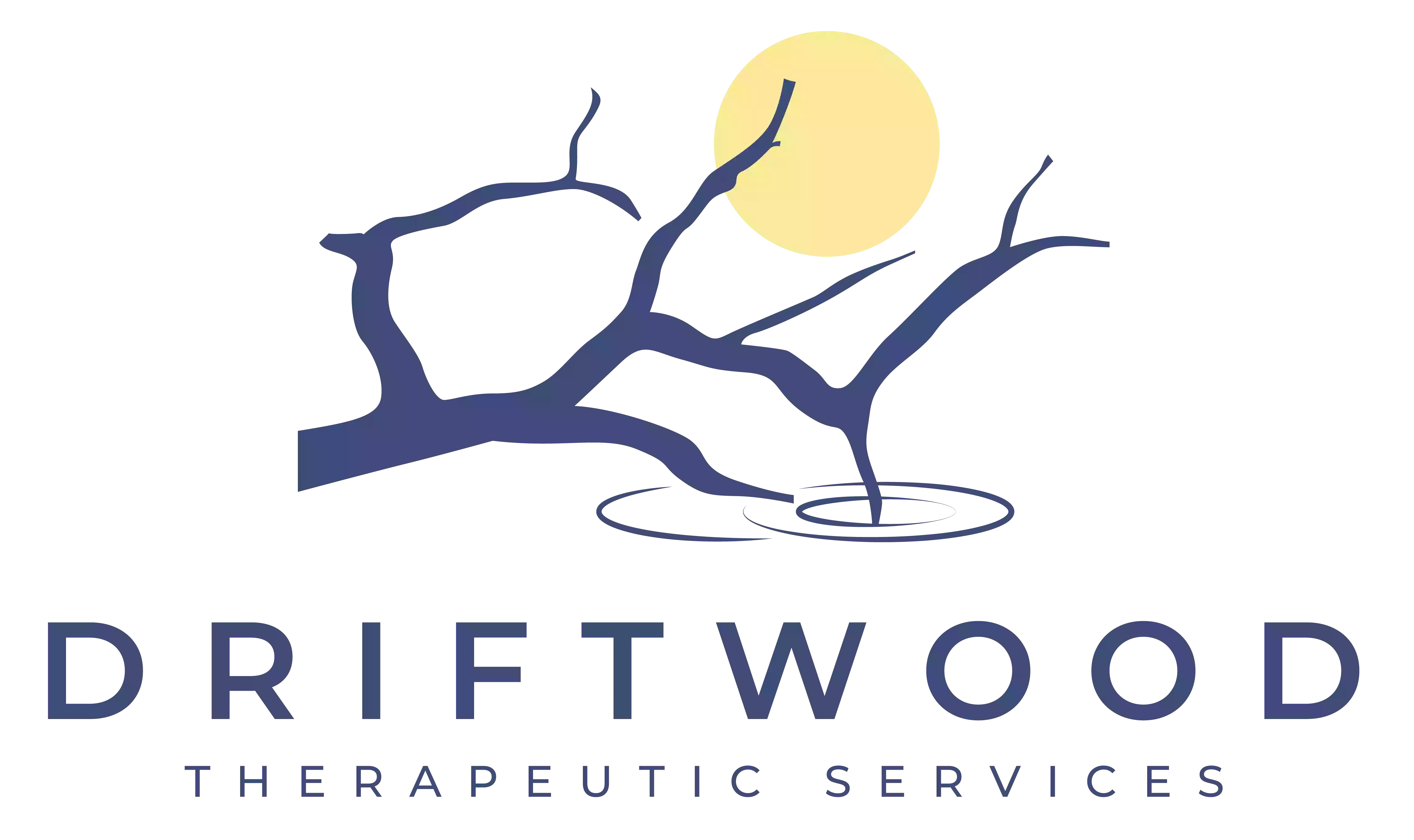 Driftwood Therapeutic Services