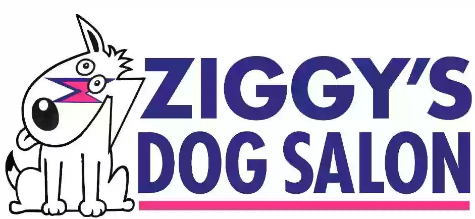 Ziggys Dog Salon