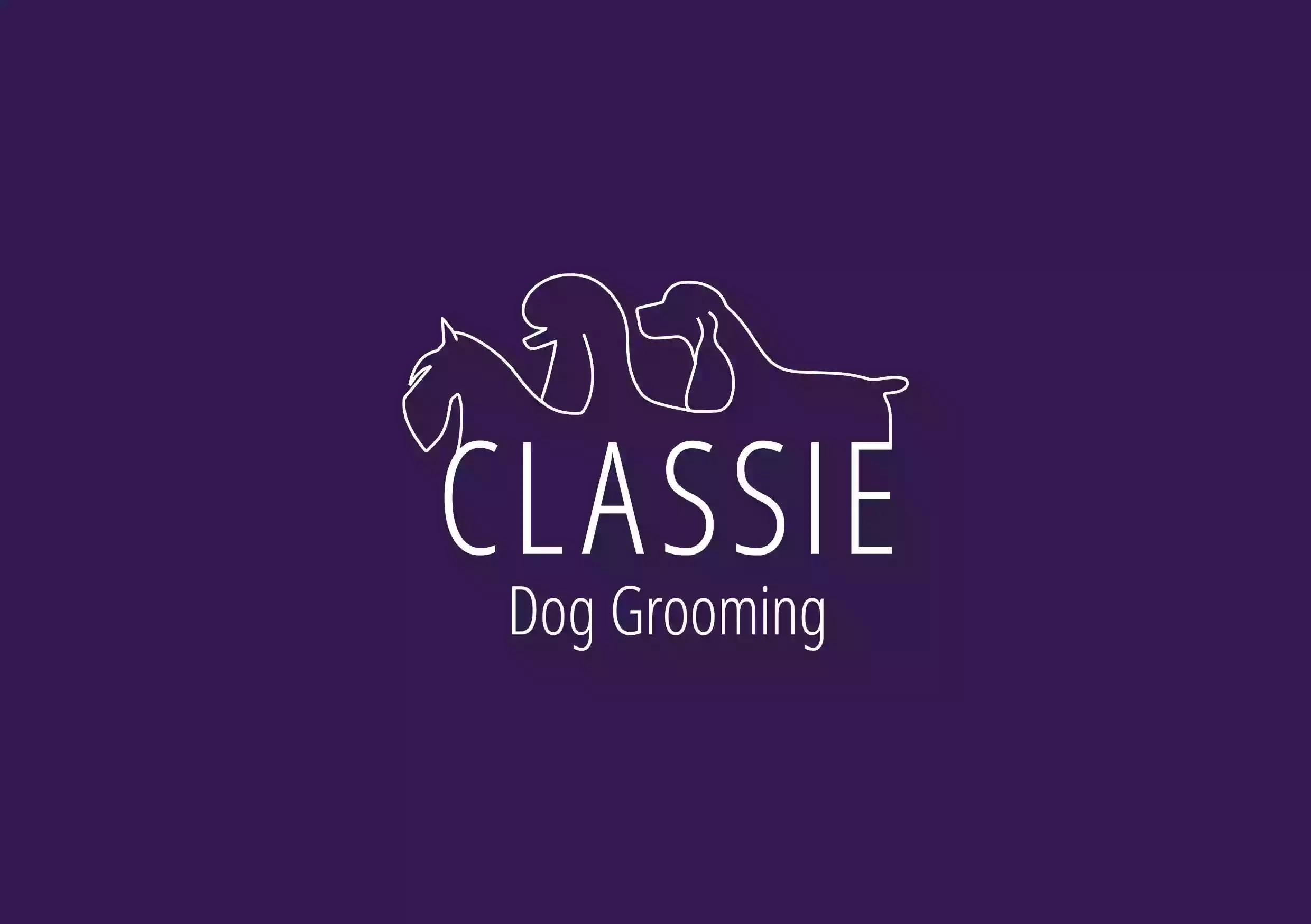 Classie Dog Grooming