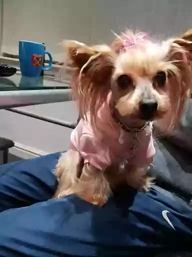 Lisa's Dog Grooming