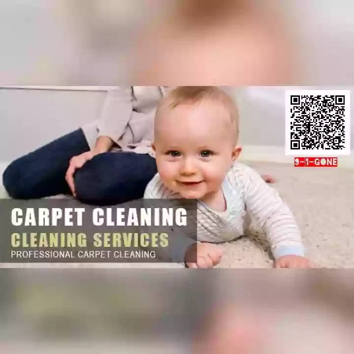 Carpet & Upholstery Cleaning (9-1-Gone)