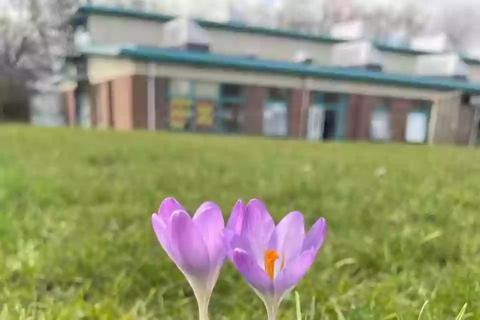 Walton Primary Academy