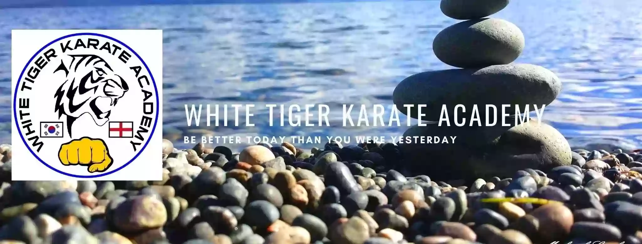 white tiger karate academy