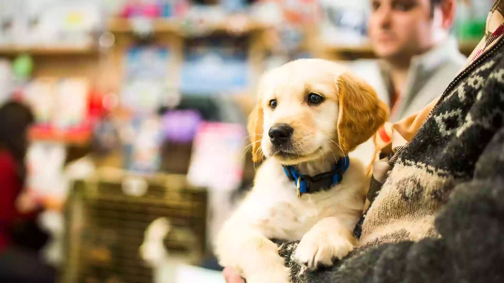 Mearley Veterinary Group