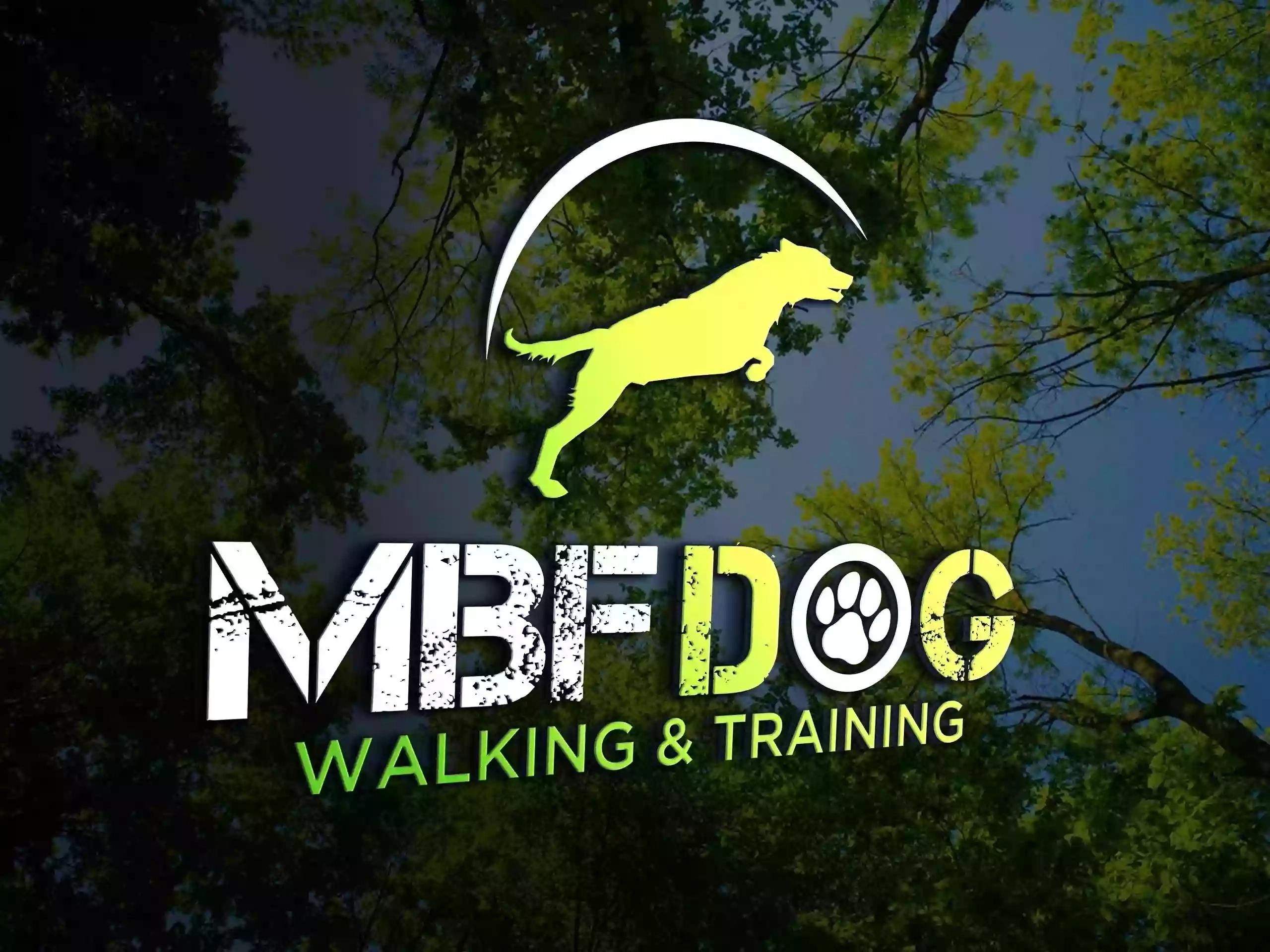 MBF Dog Walking & Training