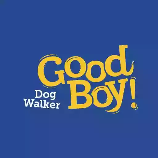 Good Boy Dog Walker York