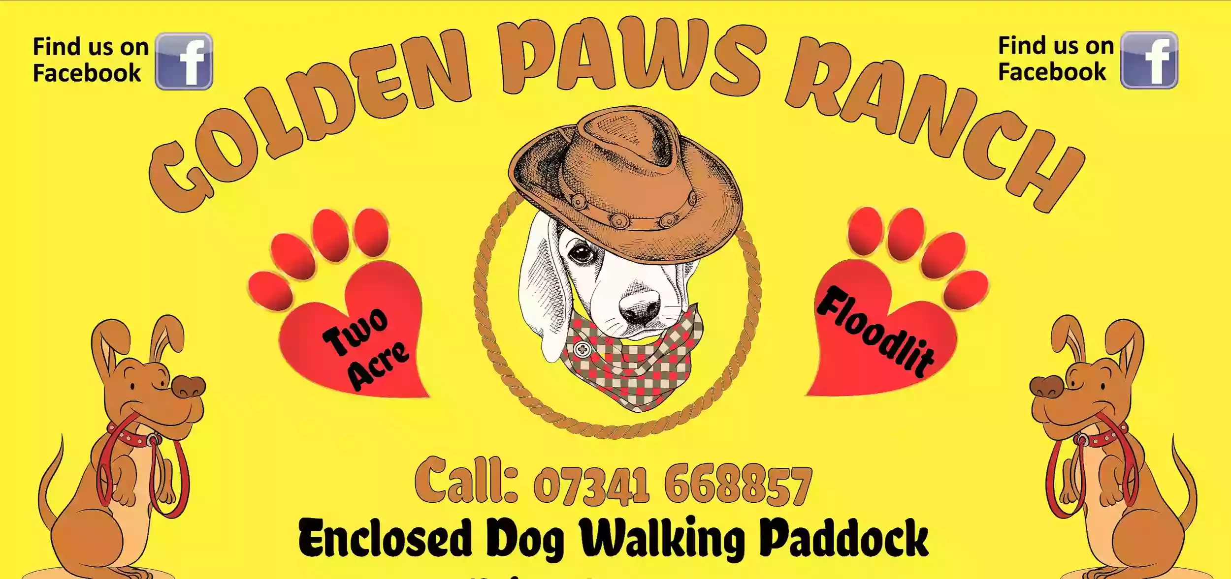 Golden Paws Dog Walking Service