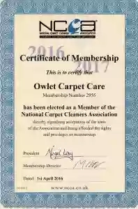 Owlet Carpet Care