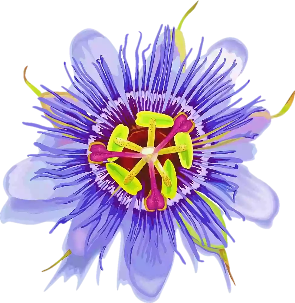 Passion flowers Weddings & Events
