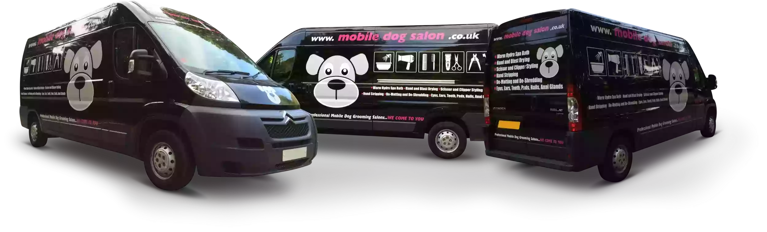 Mobile Dog Salon