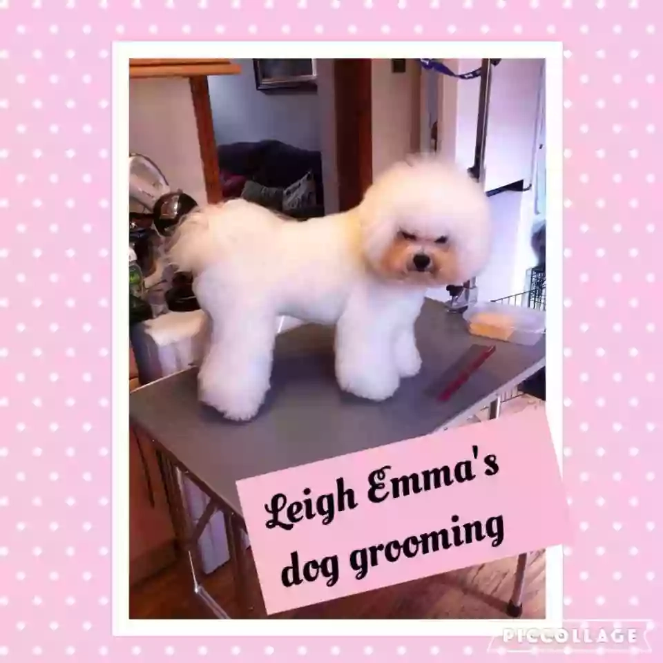 Leigh Emma's Dog Grooming