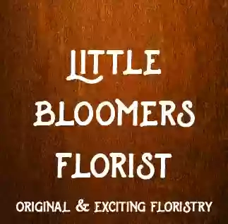 Little Bloomers Florist