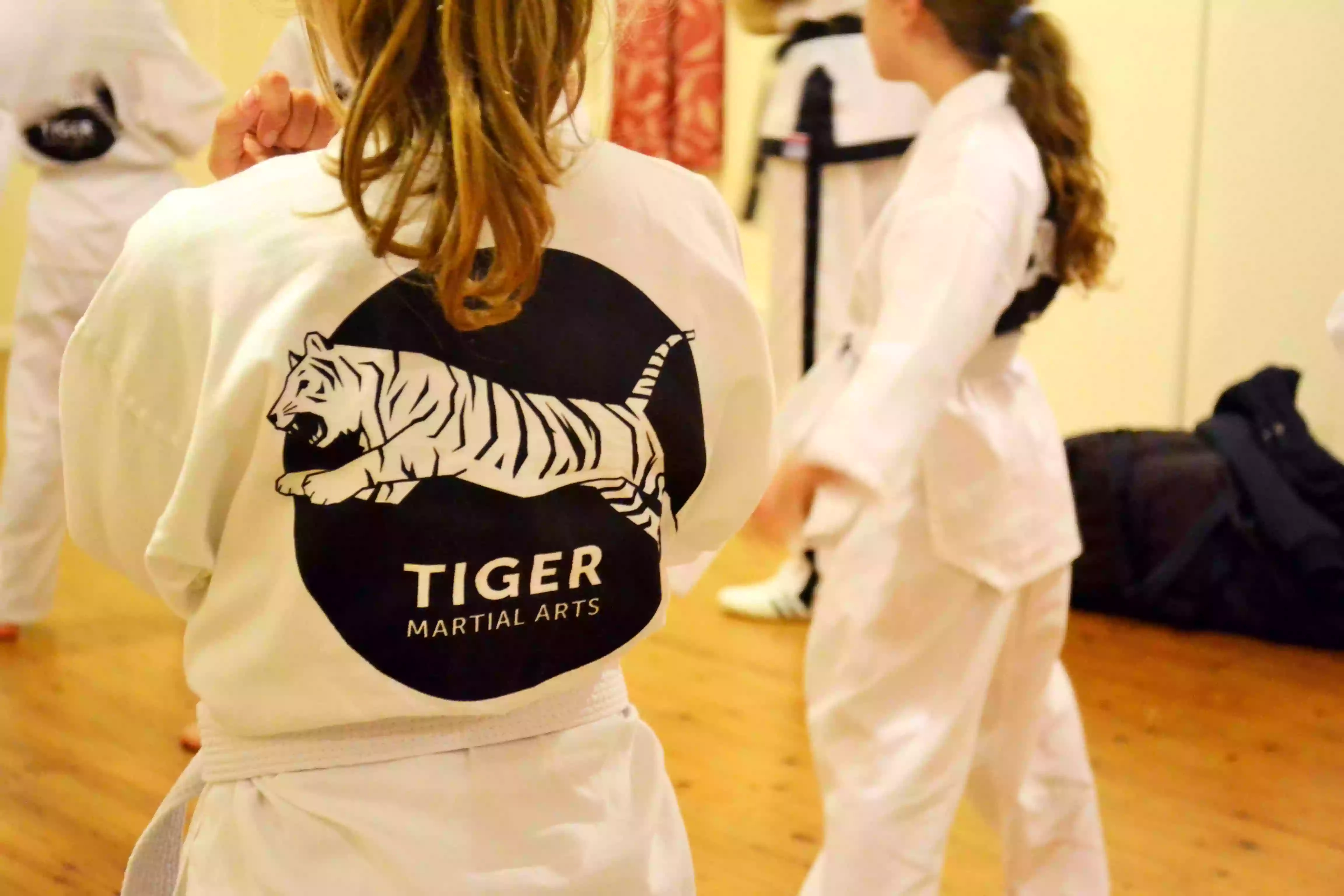 Tiger Martial Arts