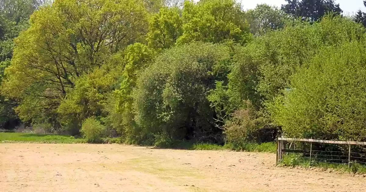 The Stables campsite