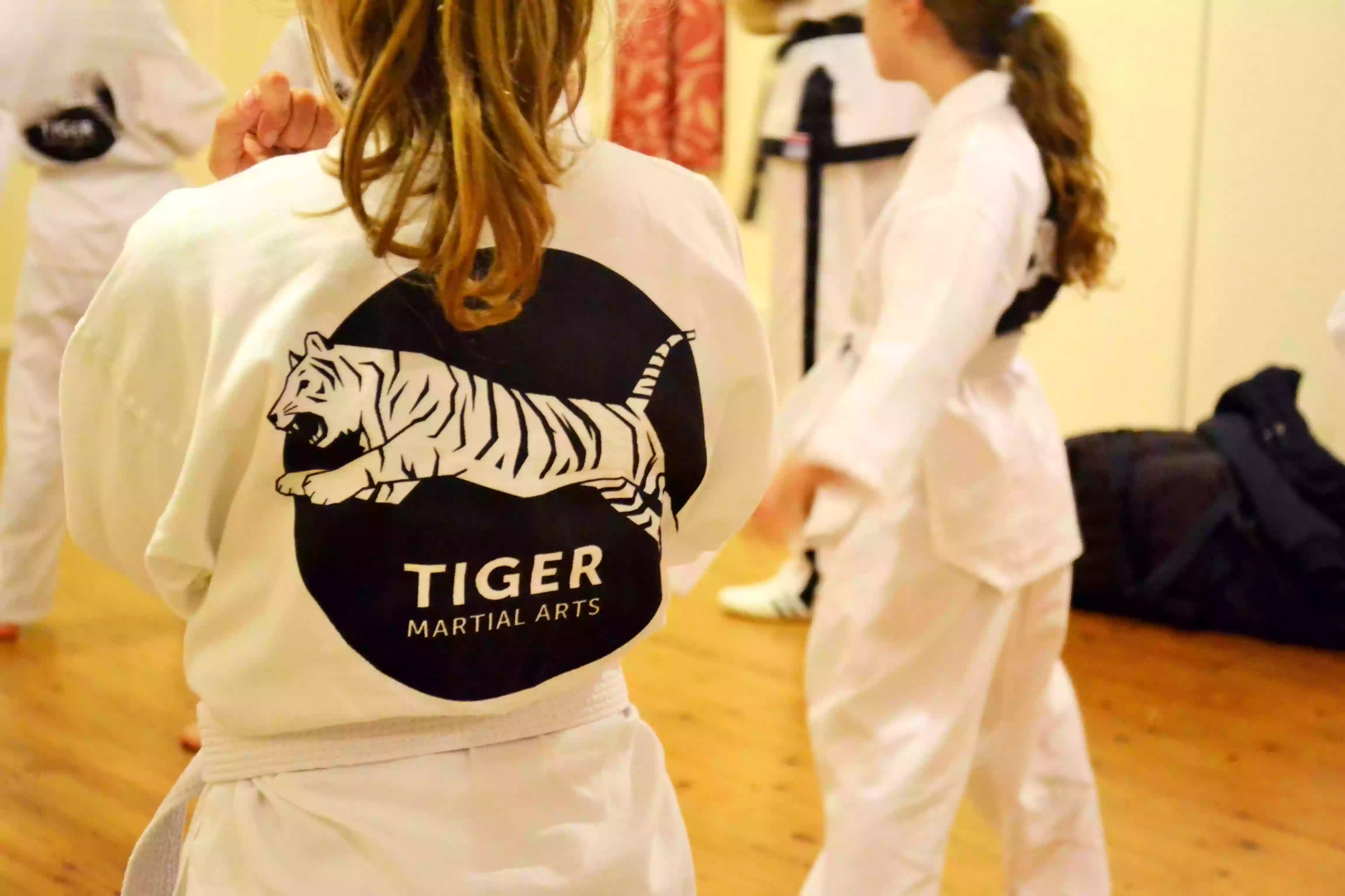 Tiger Martial Arts - Freestyle Tae-Kwon-Do Bath