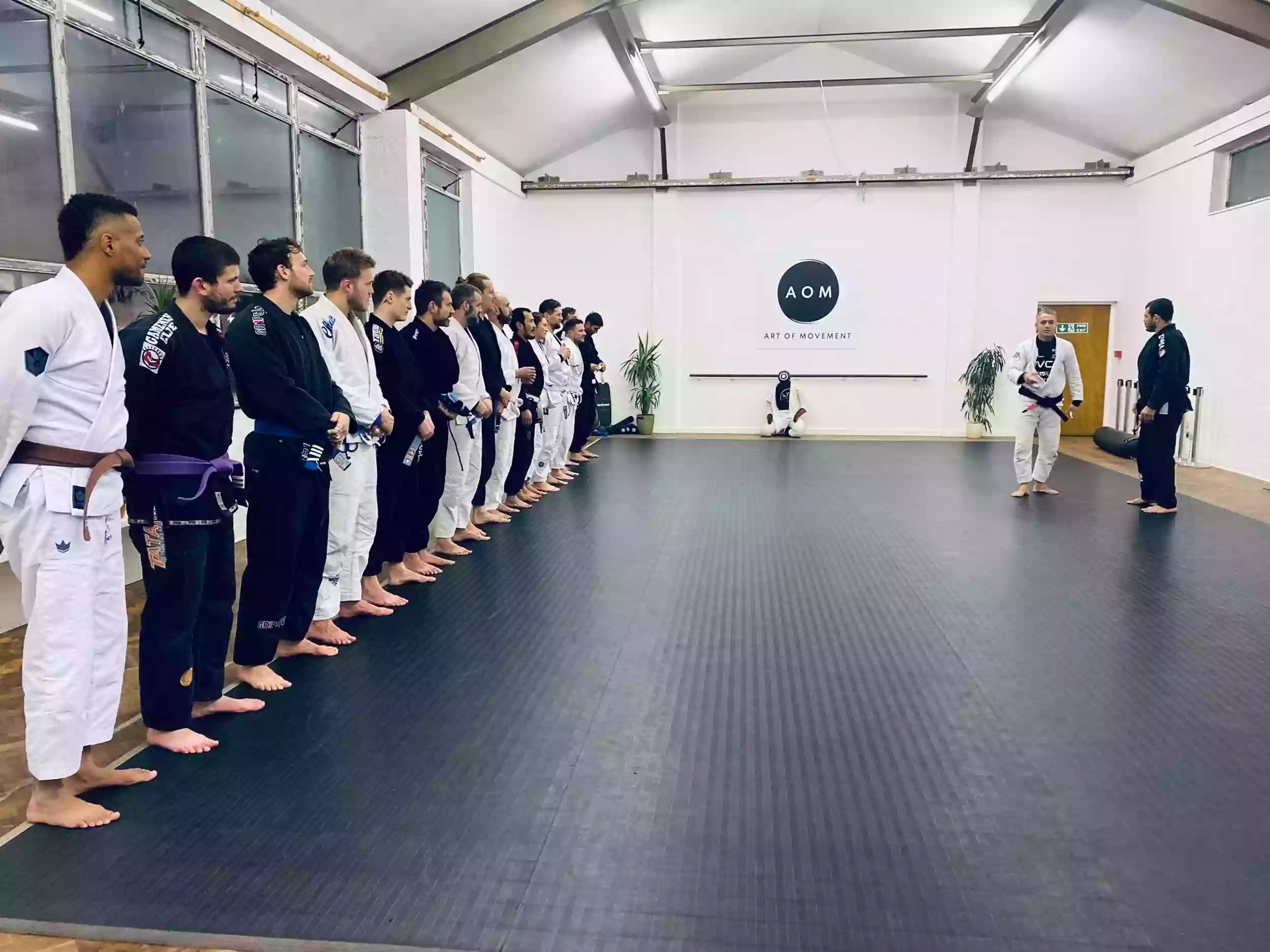 Art of Movement Bristol - Brazilian Jiu Jitsu and Capoeira