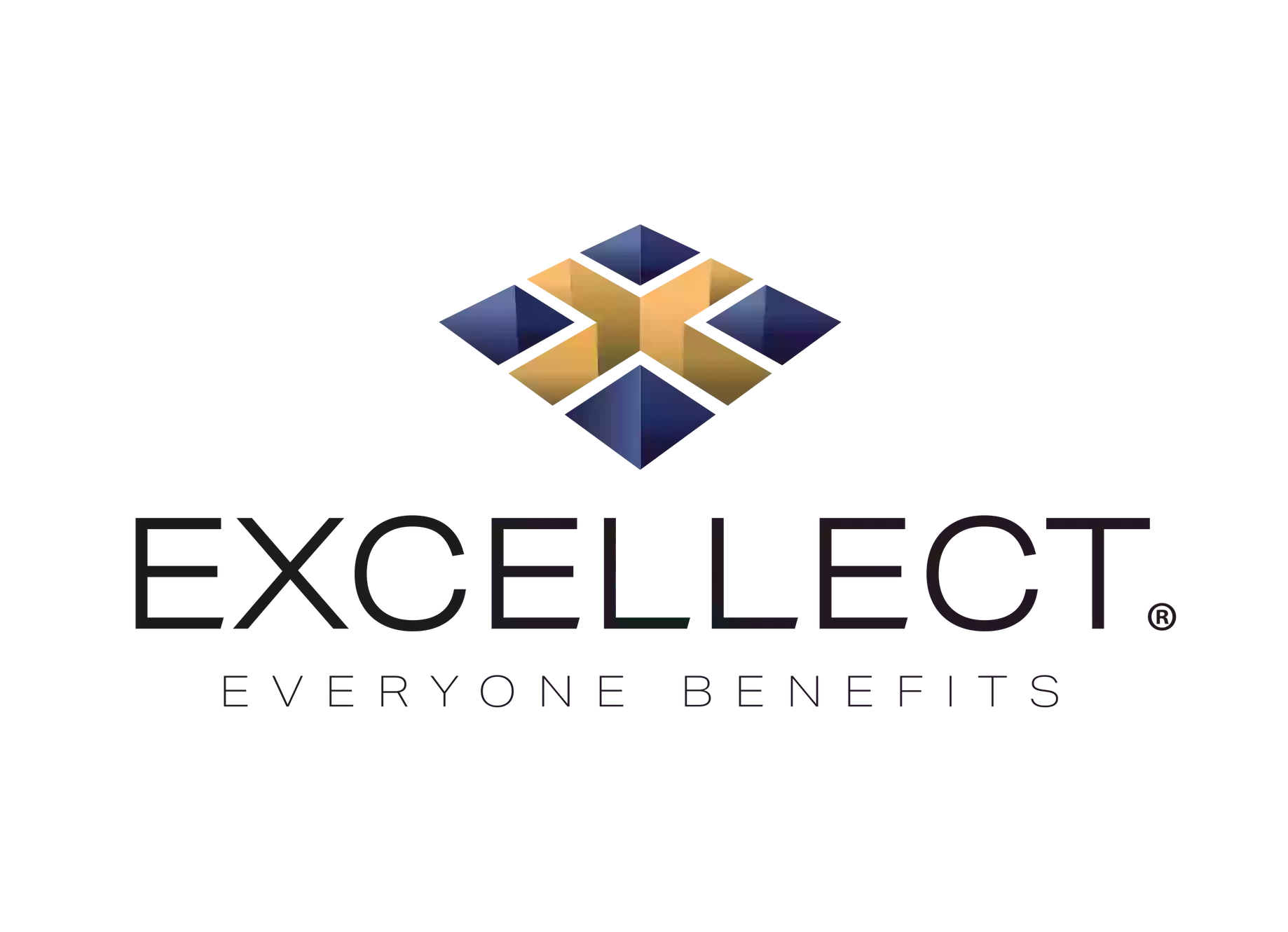 Excellect