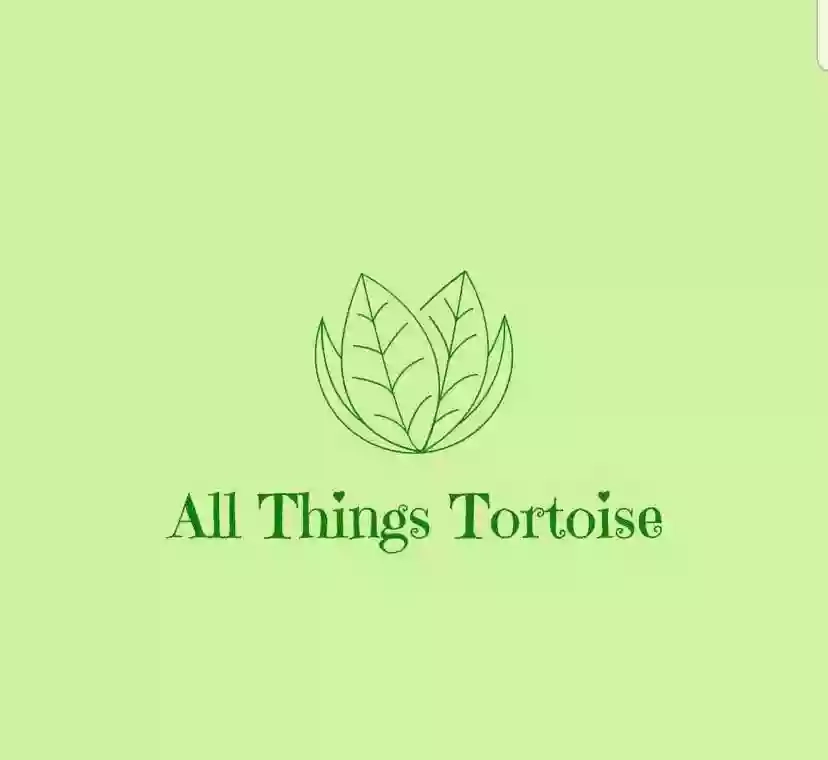 All things tortoise