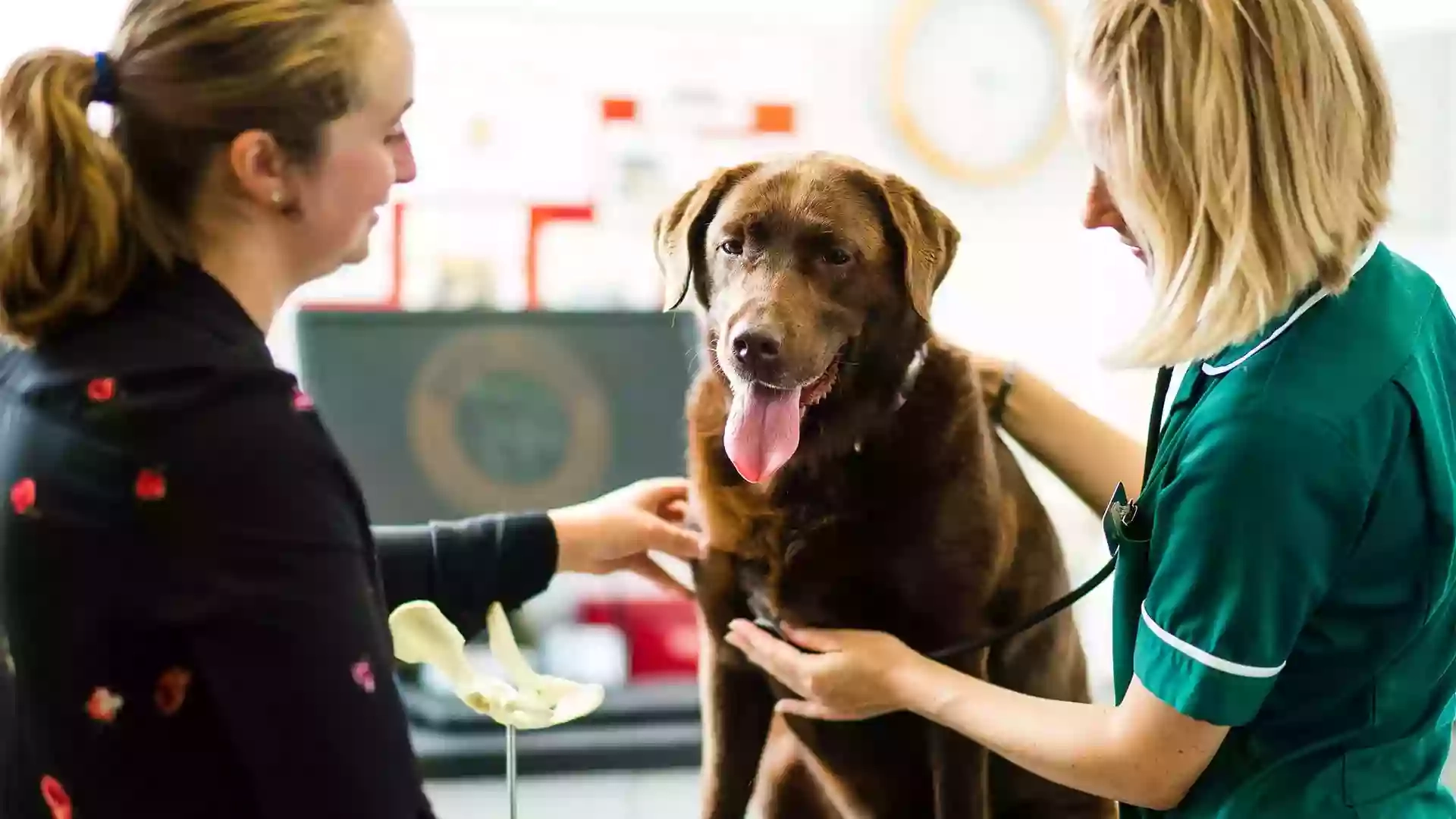 Bath Veterinary Group, Oldfield Park Veterinary Surgery