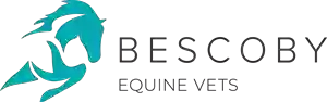 Bescoby Equine Vets