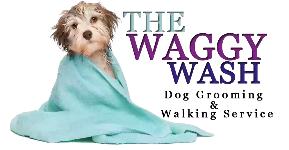 The Waggy Wash
