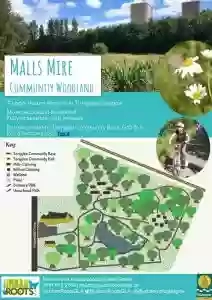 Malls Mire Community Woodland