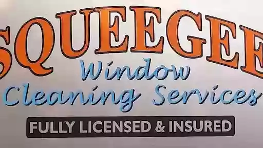 Squeegee Window Cleaning Services