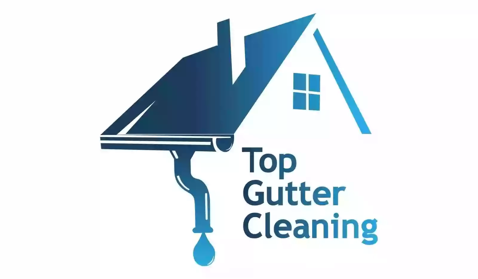 Top Gutter Cleaning