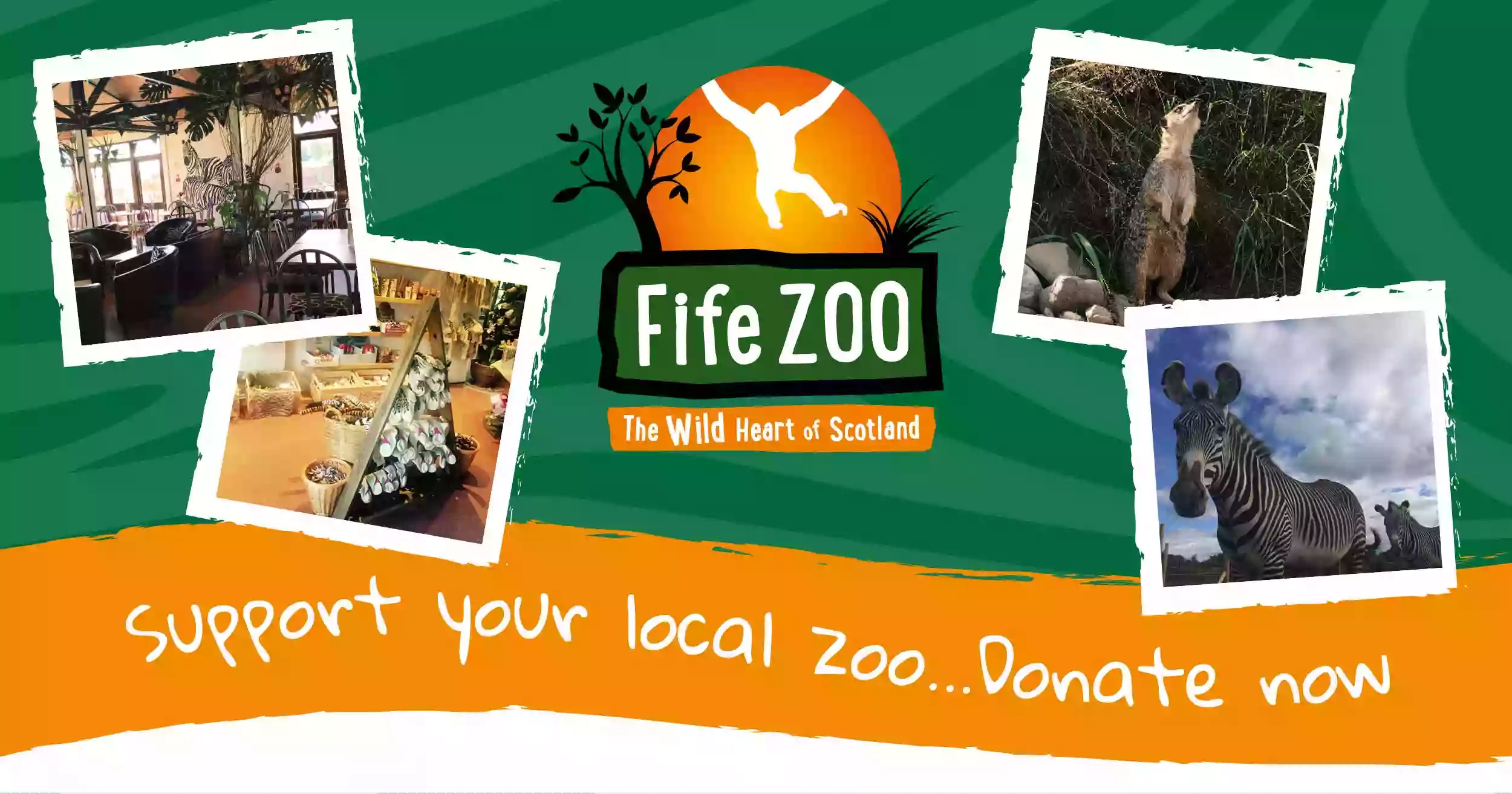 Fife Zoo