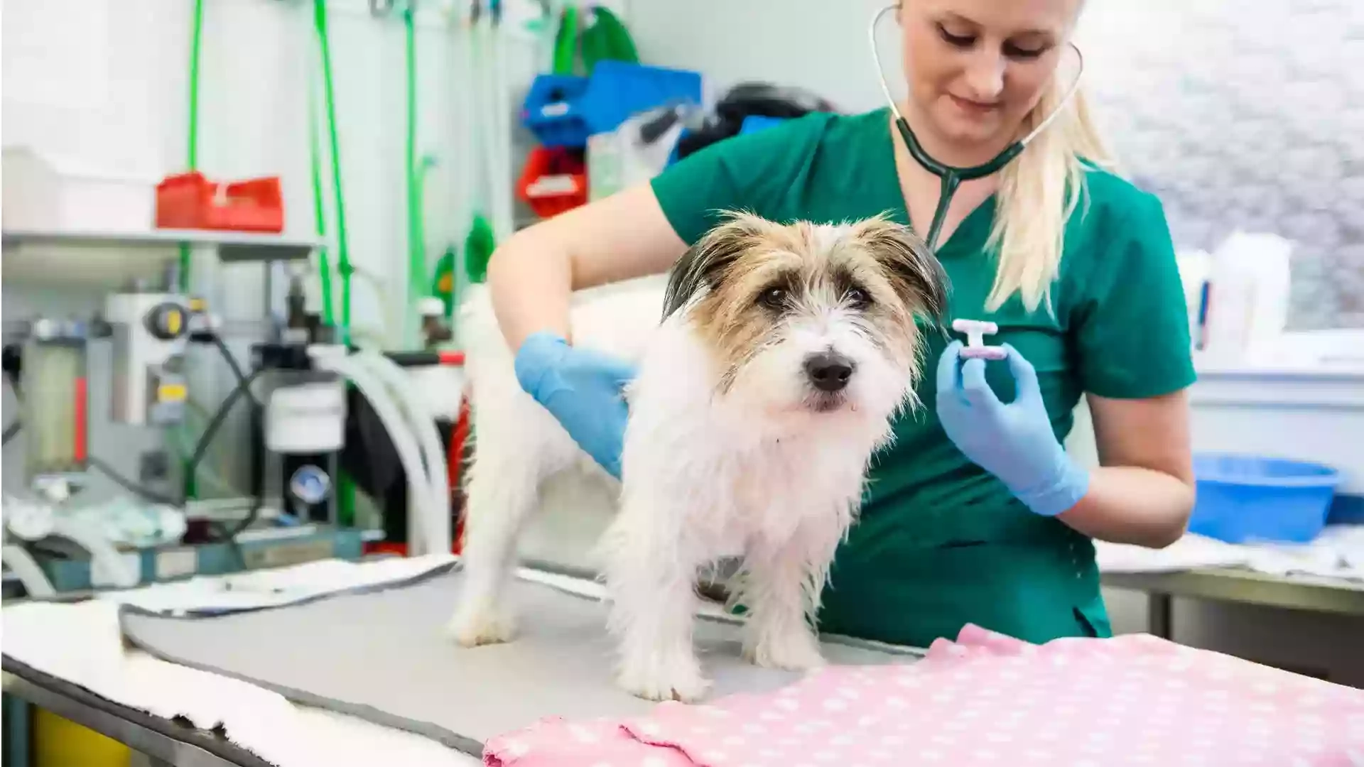 Pentland Veterinary Clinic