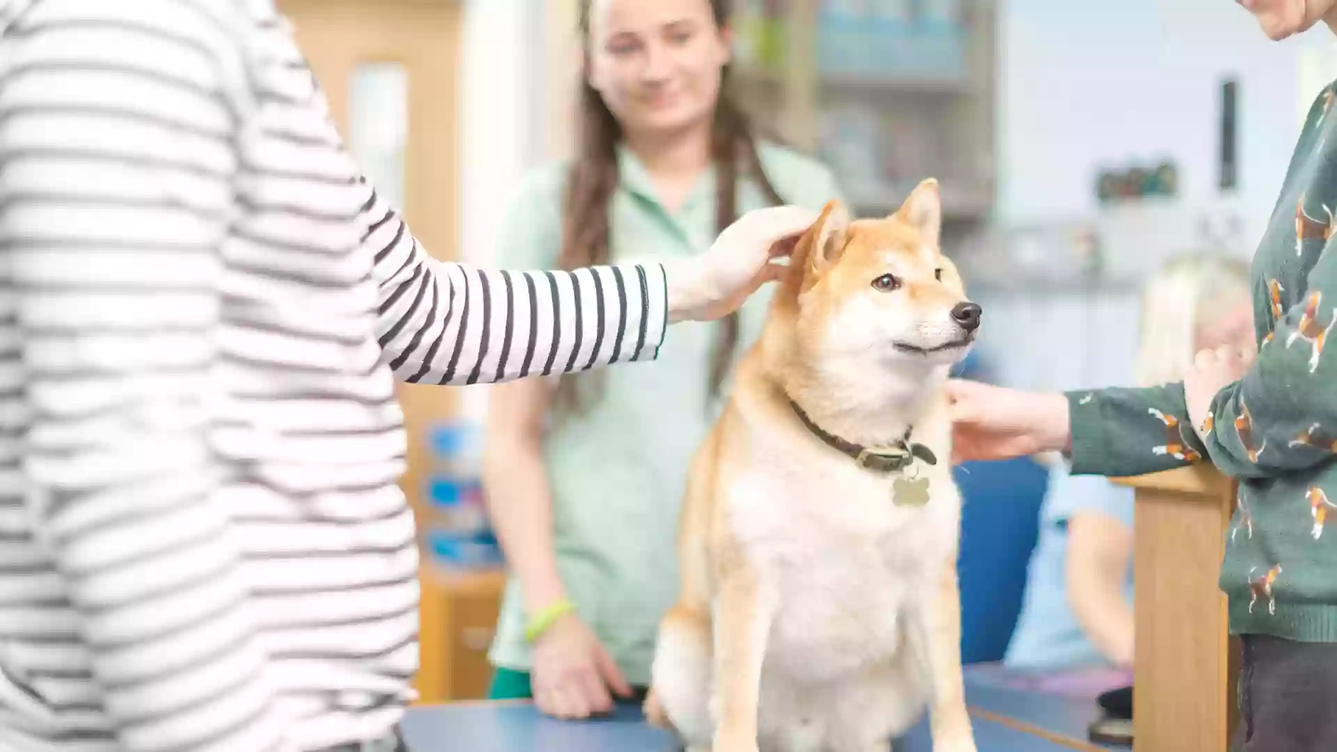 Lothian Canine Rehabilitation Centre