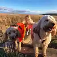 Happy Tails of East Lothian