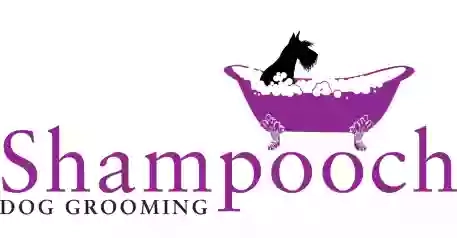Shampooch Dog Grooming East Lothian
