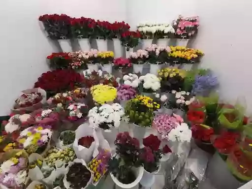 Магазин Сюрприз-Квіти