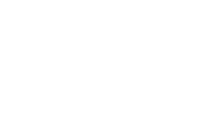 Buena Vista Boarding Kennels & Cattery