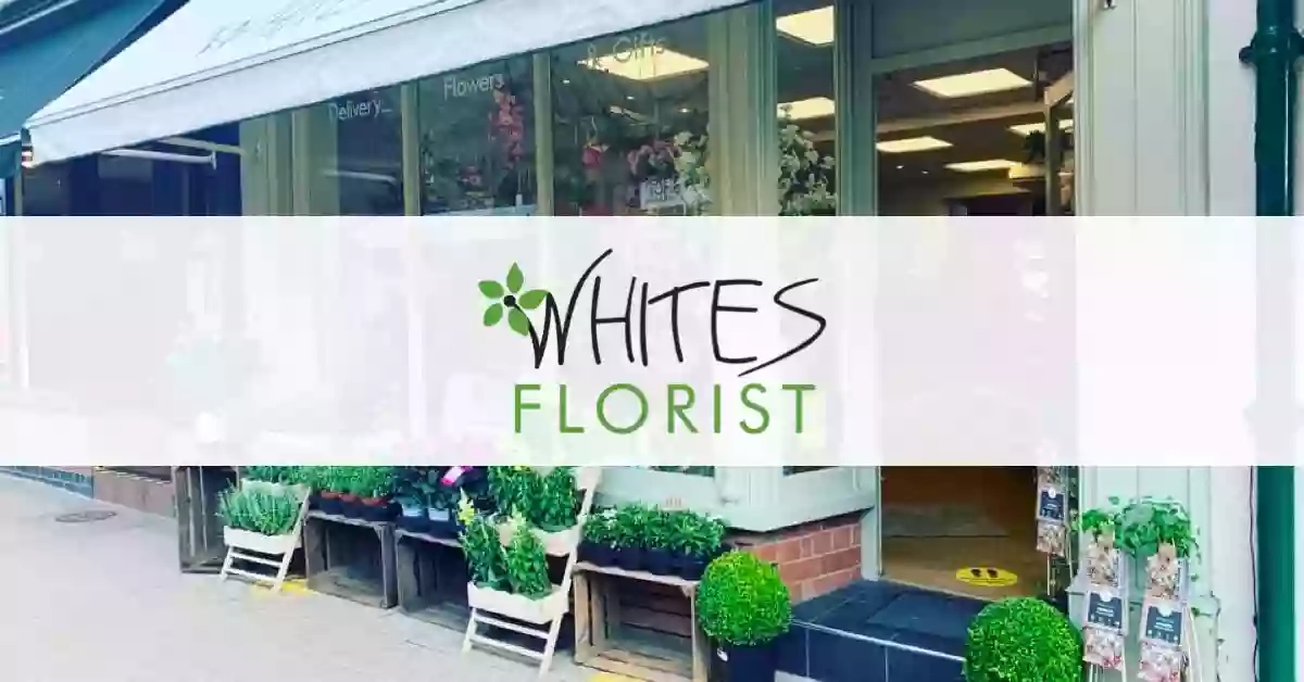 Whites Florist