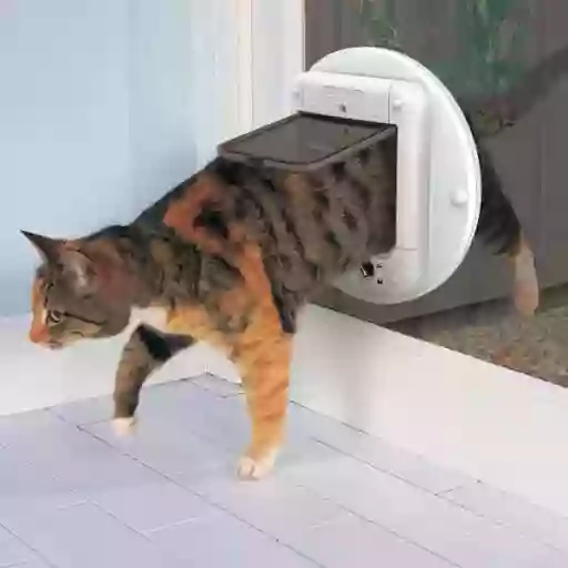 coventry cat flap fitter