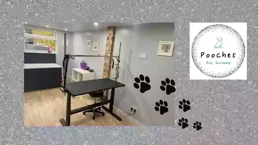 Pooches Dog Grooming In Rugby