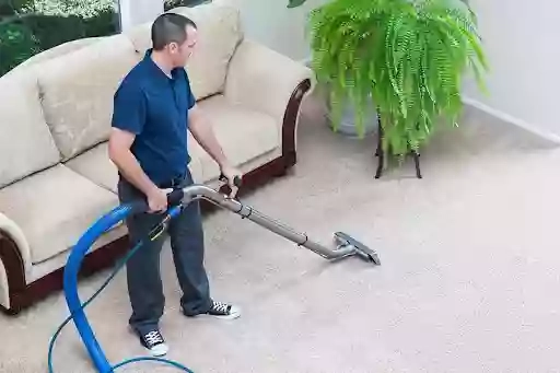 Carpet Cleaner DXT