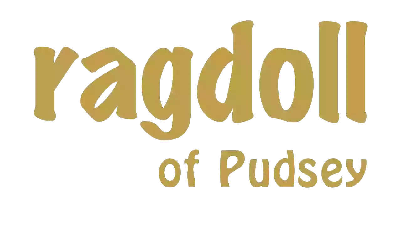 Ragdoll of Pudsey