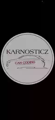 KARNOSTICZ CAR CODING