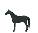BLACK HORSE HOTEL • Otley