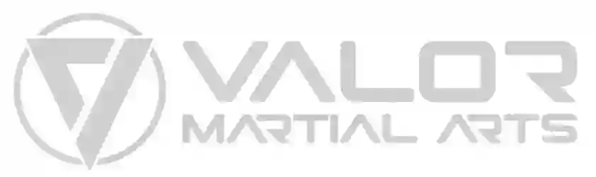 Valor Martial Arts