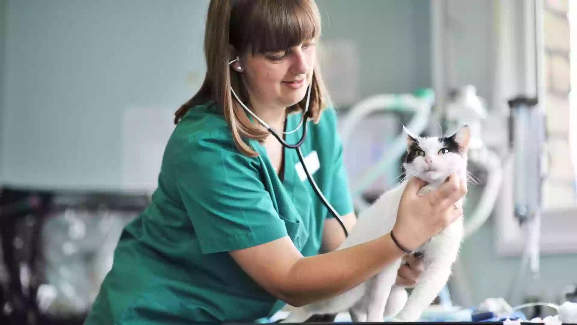 Shipley and Idle Veterinary Centres