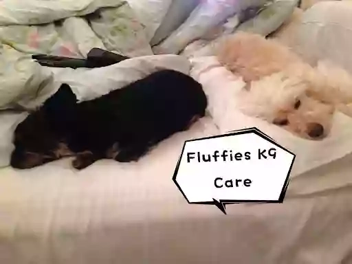 Fluffies K9 Care - Huddersfield Dog Walking and Care Services