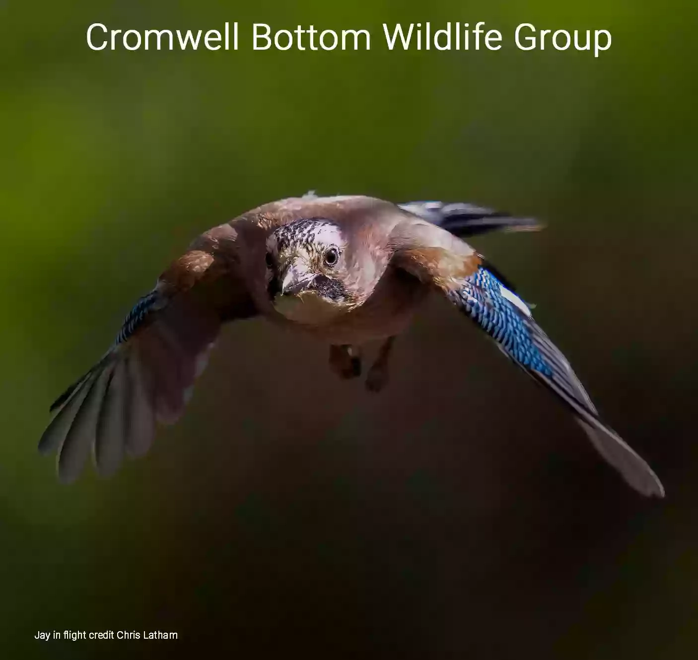 Cromwell Bottom Nature Reserve