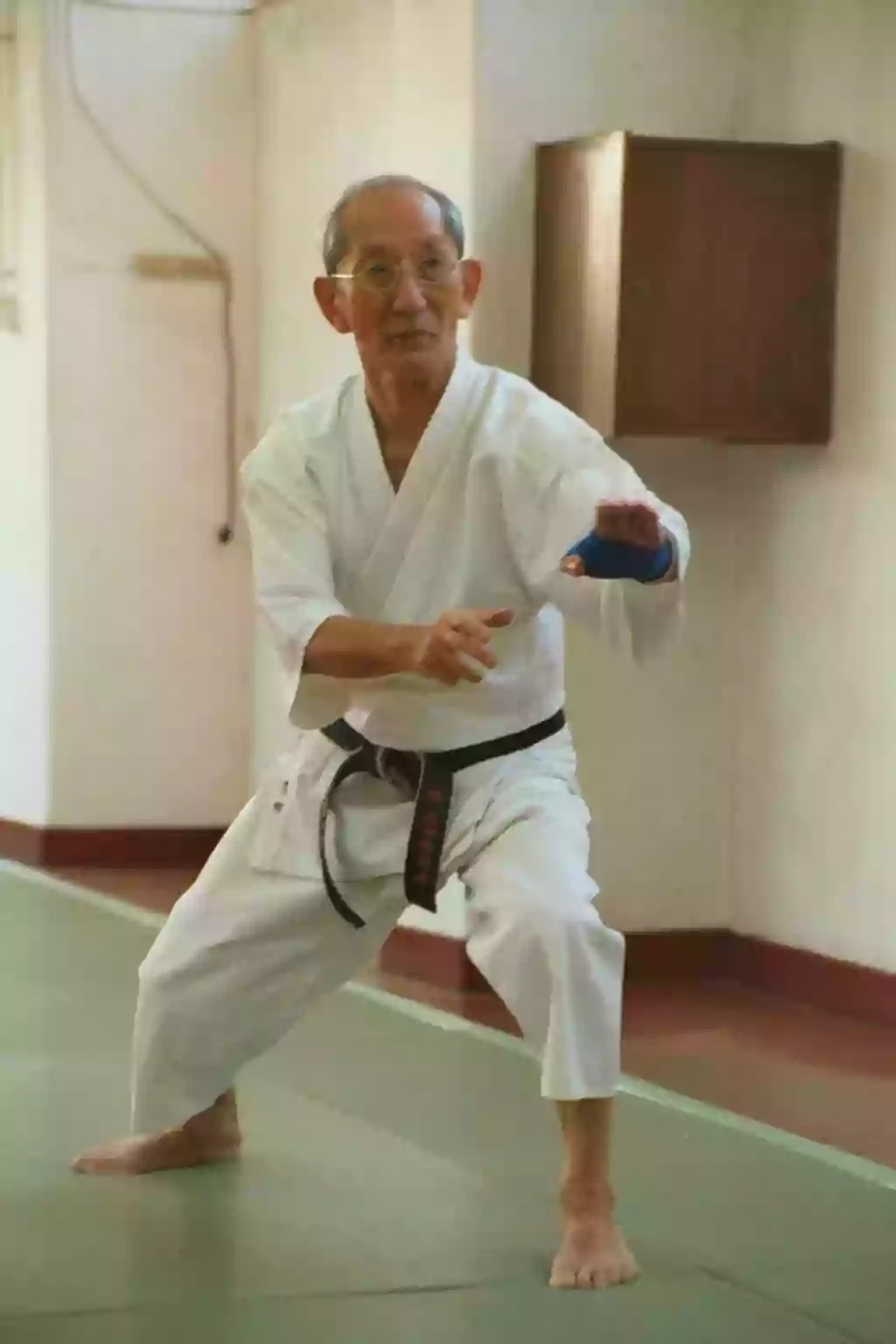 Penarth Karate do Shotokai Club