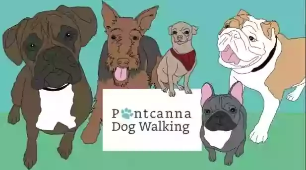 Pontcanna Dog Walking